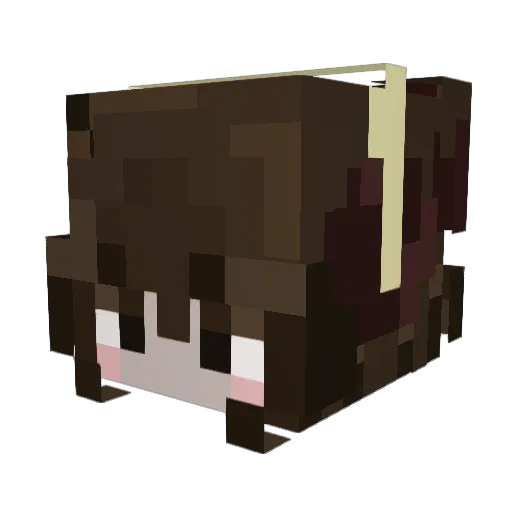 finiaaa Minecraft avatar head, 3D render