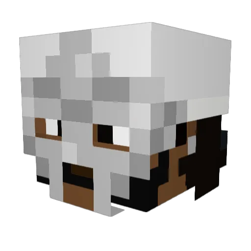 finja_xo Minecraft avatar head, 3D render