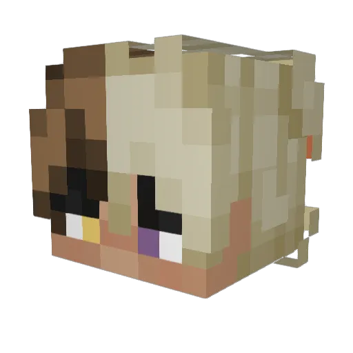 Minecraft-Avatar von finleynetwork: Kopf als 3D-Render