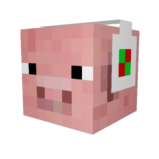 finmac1 Minecraft avatar head, 3D render