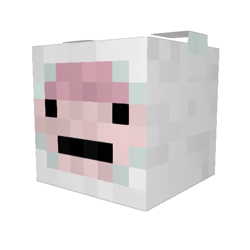 finn117 Minecraft avatar head, 3D render
