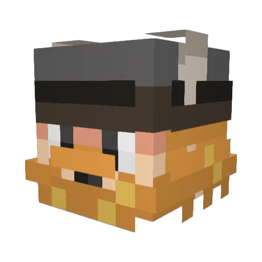 finn2011 Minecraft avatar head, 3D render