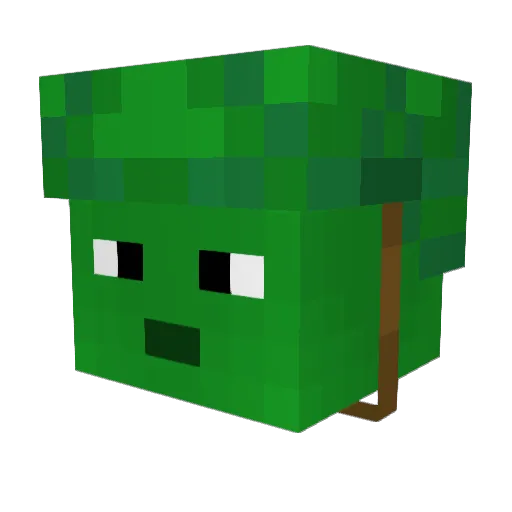 finn2734 Minecraft avatar head, 3D render
