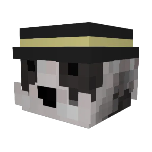 finn_hi Minecraft avatar head, 3D render