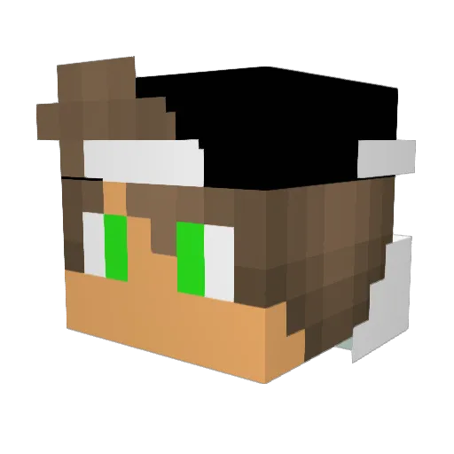 finn_hsv08 Minecraft avatar head, 3D render