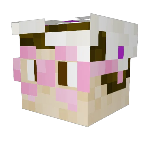 finnantonio Minecraft avatar head, 3D render