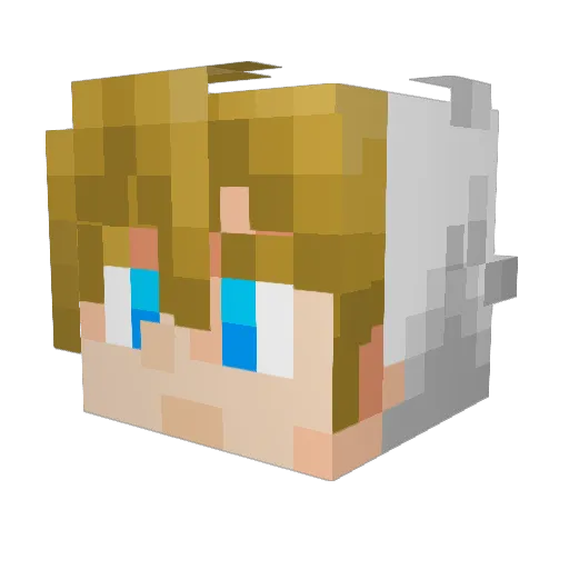 finndoesmc306 Minecraft avatar head, 3D render