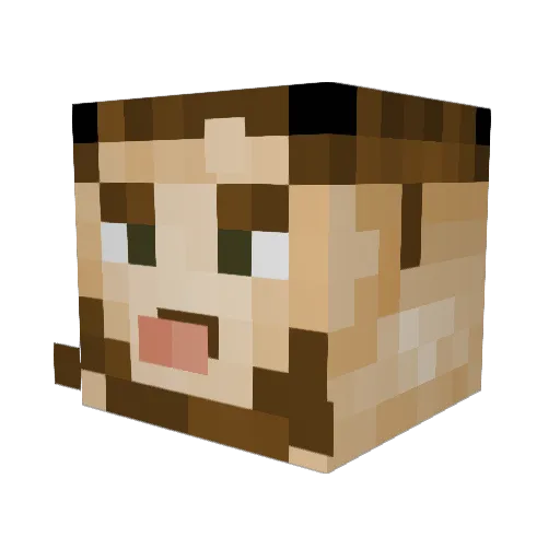 finnethan Minecraft avatar head, 3D render
