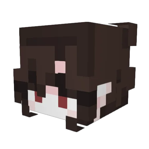 finniebee000 Minecraft avatar head, 3D render