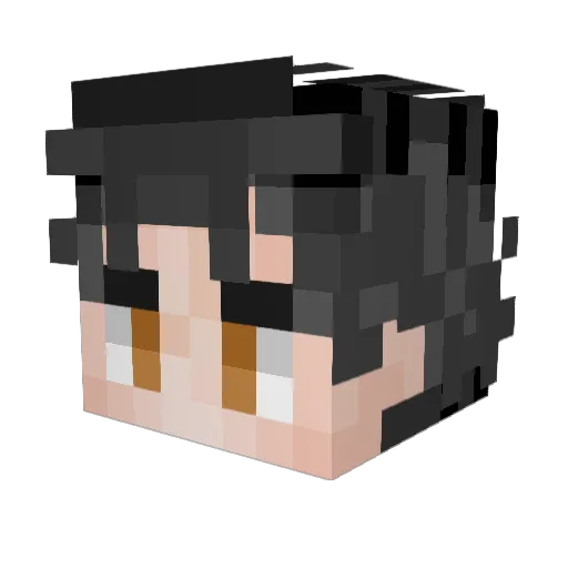 finnieflop12 Minecraft avatar head, 3D render