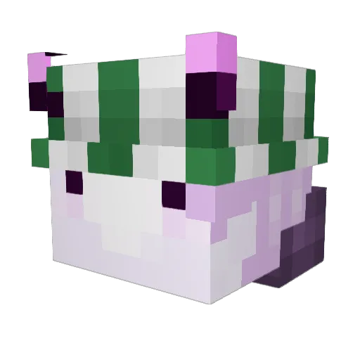 finnityHQ Minecraft avatar head, 3D render