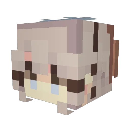 finnsers Minecraft avatar head, 3D render