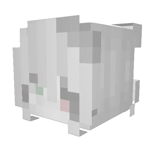 finnsky Minecraft avatar head, 3D render