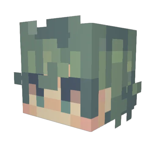 finnster1169 Minecraft avatar head, 3D render