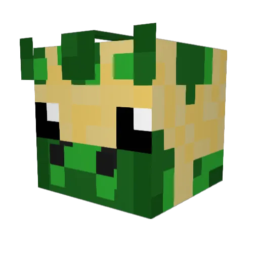 finnstlgr Minecraft avatar head, 3D render