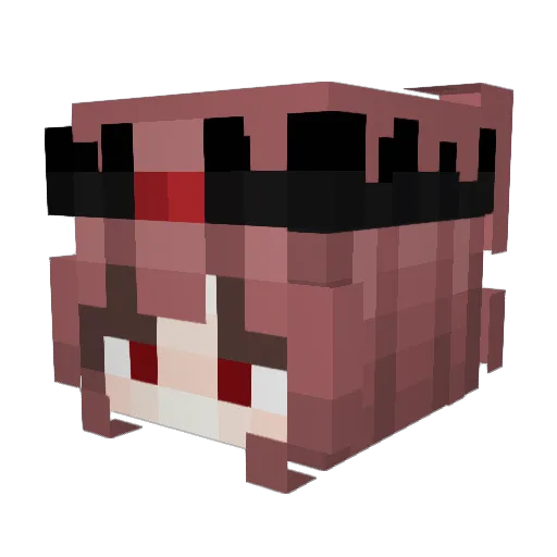 finnstxr Minecraft avatar head, 3D render