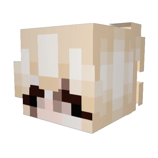 finnthefennec Minecraft avatar head, 3D render