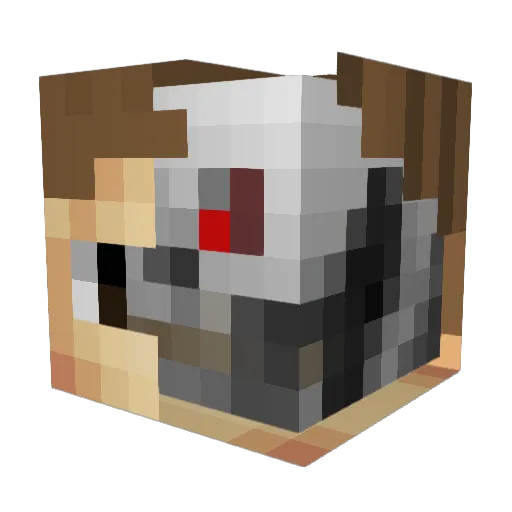 finnthehuman325 Minecraft avatar head, 3D render