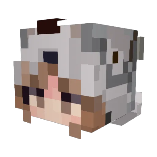 finoogy Minecraft avatar head, 3D render