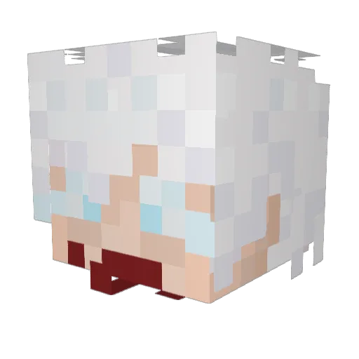 finsalin Minecraft avatar head, 3D render