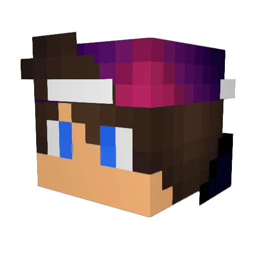 finsans3 Minecraft avatar head, 3D render