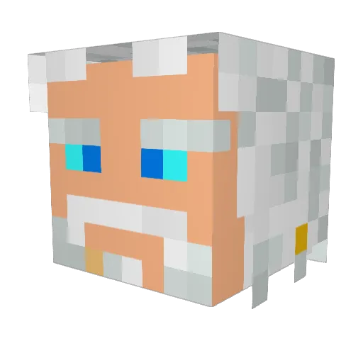 fint2 Minecraft avatar head, 3D render