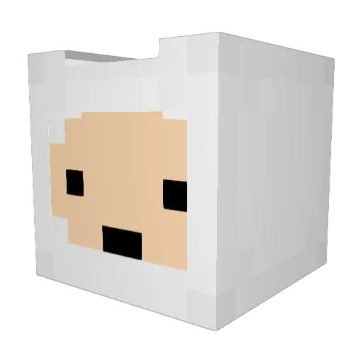 finthehooman Minecraft avatar head, 3D render