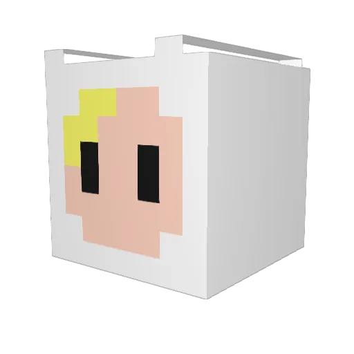 fintrim Minecraft avatar head, 3D render