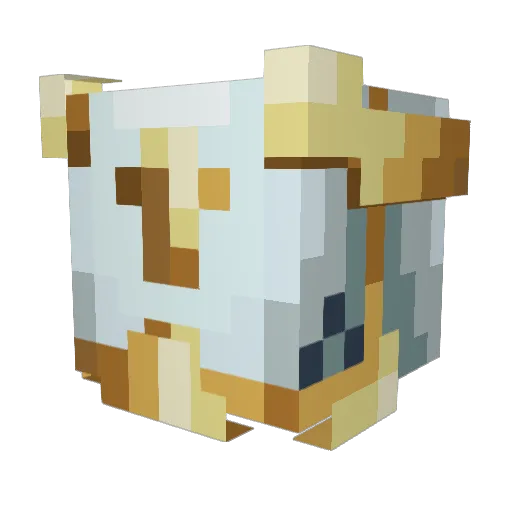 finwindu2187 Minecraft avatar head, 3D render
