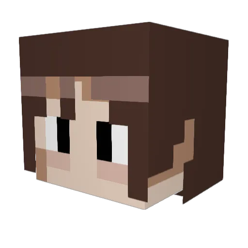 finydd Minecraft avatar head, 3D render