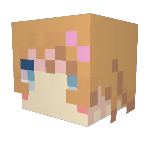 fio0911 Minecraft avatar head, 3D render