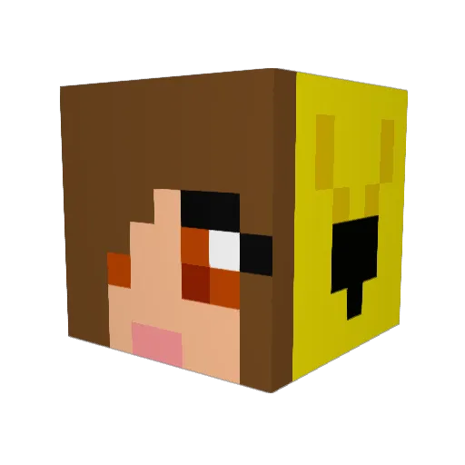 fio1109 Minecraft avatar head, 3D render