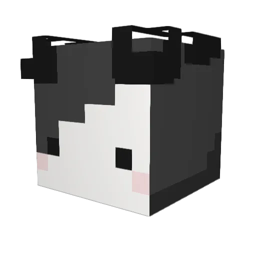 fiokull2 Minecraft avatar head, 3D render