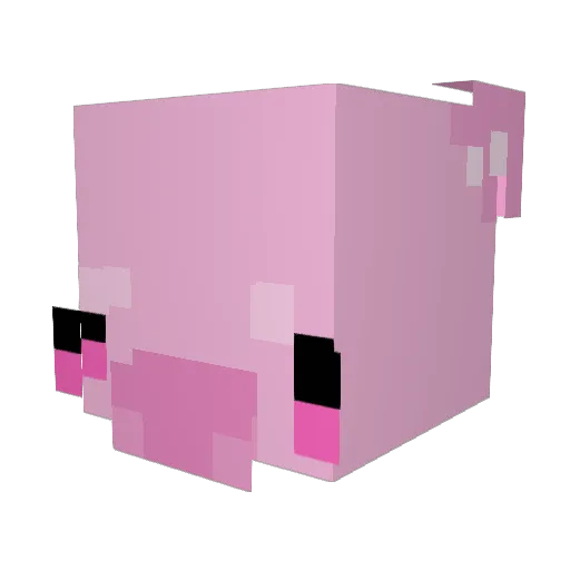 fionnahan Minecraft avatar head, 3D render