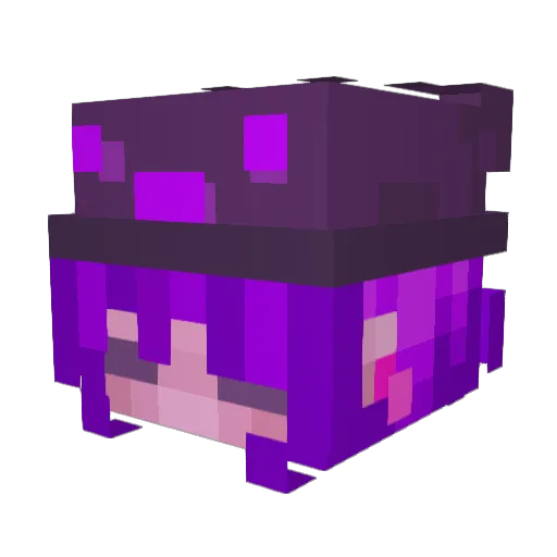 fioolet Minecraft avatar head, 3D render
