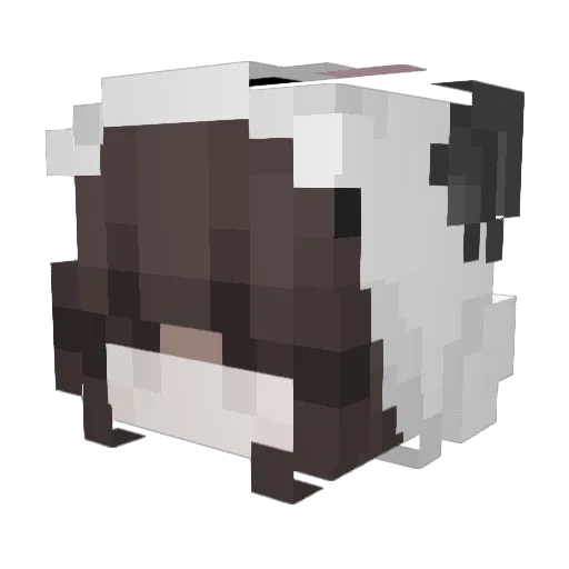 fioolol Minecraft avatar head, 3D render