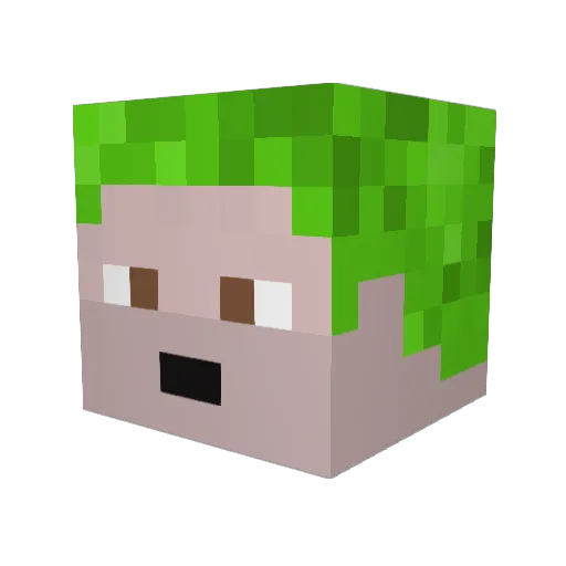 fippo1005 Minecraft avatar head, 3D render