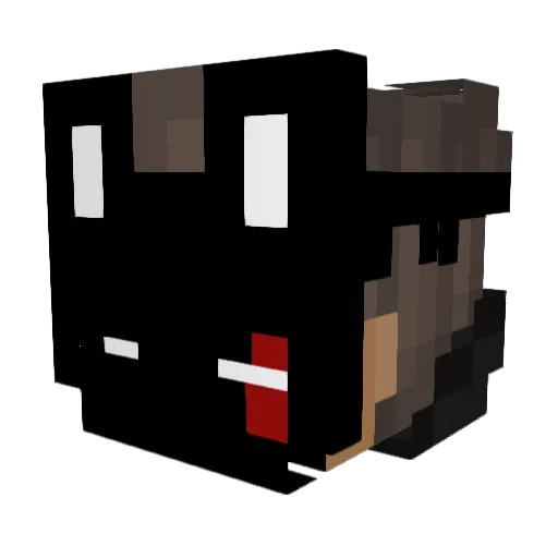 fireEnderRakui Minecraft avatar head, 3D render
