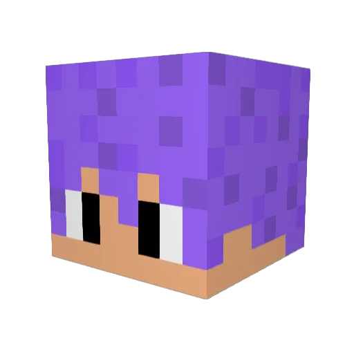 fire_fish1234 Minecraft avatar head, 3D render