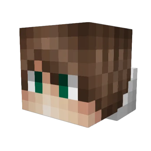 fire_gaming_ Minecraft avatar head, 3D render