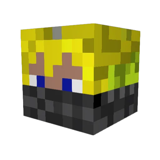 fireassassin1 Minecraft avatar head, 3D render
