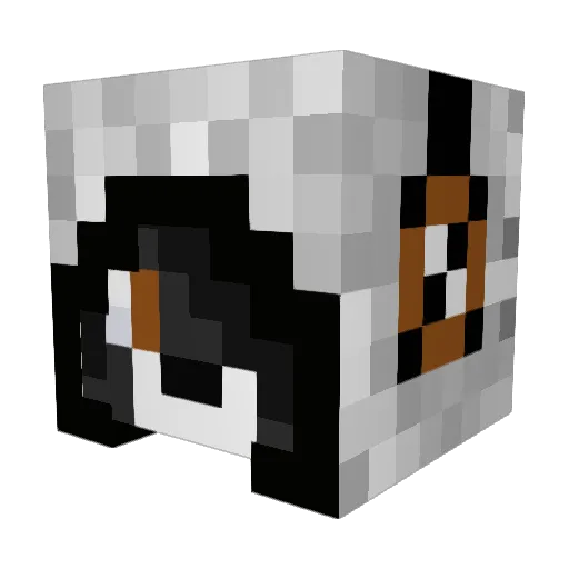 fireballs26 Minecraft avatar head, 3D render