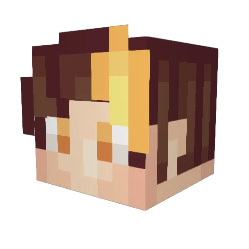 fireblitz95 Minecraft avatar head, 3D render