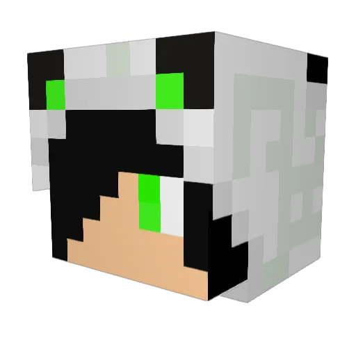 firebreather_52 Minecraft avatar head, 3D render