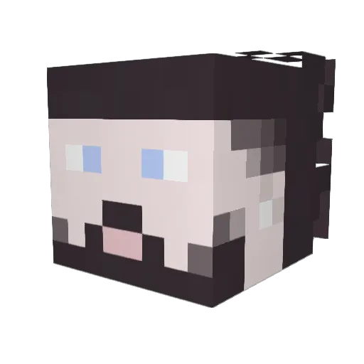 firecreeper145 Minecraft avatar head, 3D render