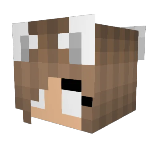 firedragon84 Minecraft avatar head, 3D render