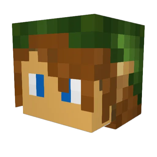 firedragontimmy Minecraft avatar head, 3D render
