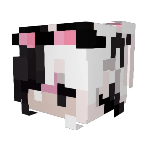firefliizz Minecraft avatar head, 3D render