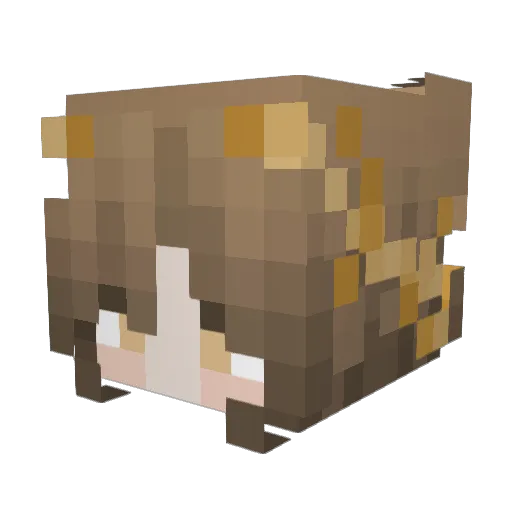 firefllying Minecraft avatar head, 3D render