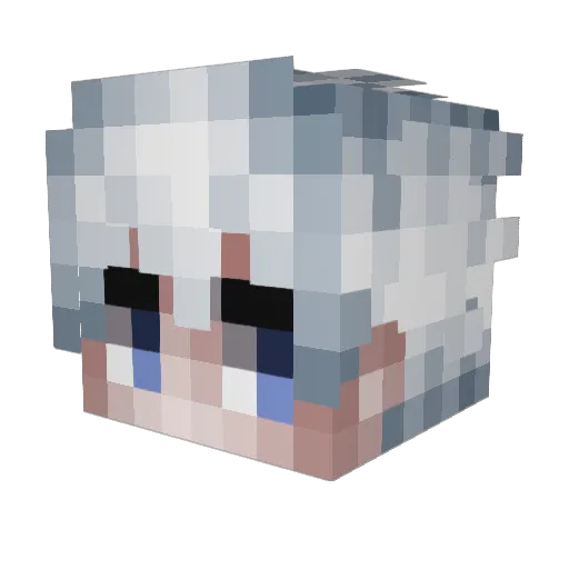 fireflo05 Minecraft avatar head, 3D render